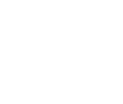 nesilden