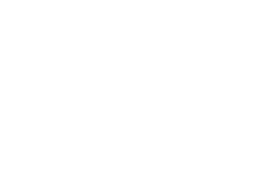 yazii3